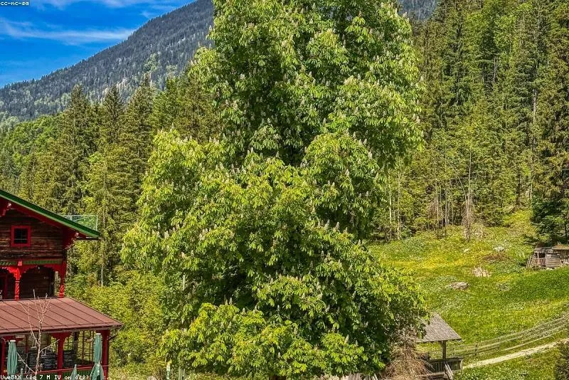 Open inherited acreage in a quiet valley